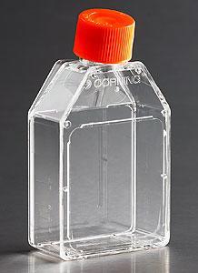 Corning 細(xì)胞培養(yǎng)容器，CellBIND(R) 表面，滅菌 3067