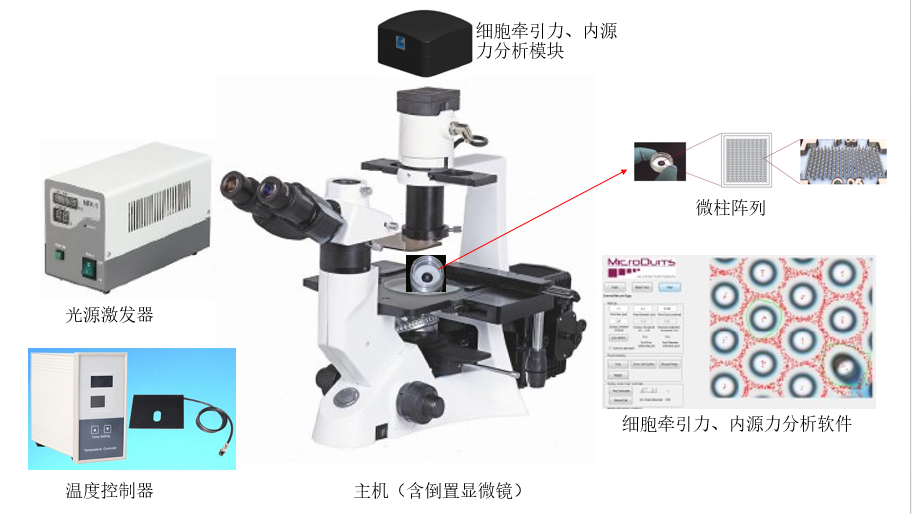 Labomed代理,LB702，+ 細胞牽引力顯微鏡 +cell mechanics analyze
